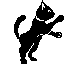 starcat