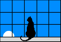 cat window