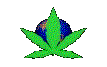 weed